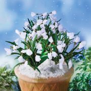 Balkonkastenfüllungen