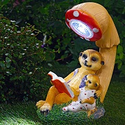 Erdmännchen