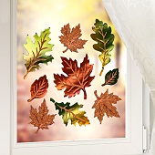 Fensterbilder