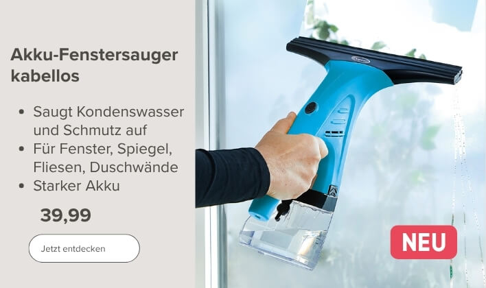 Akku-Fenstersauger kabellos