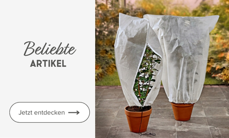 Inspirationskategorie Lieblingsartikel