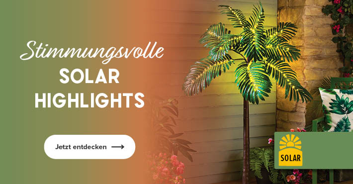 Stimmungsvolle Solar Highlights