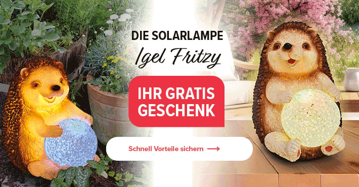 Exklusiv für Sie: Die Solarlampe Igel Fritzy GRATIS