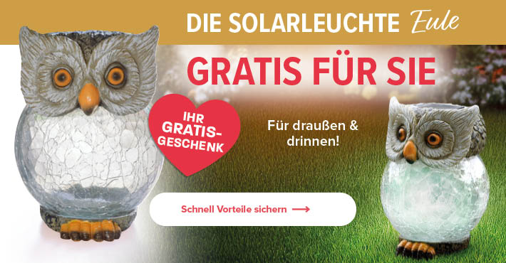 Gratis für Sie: Die Solarleuchte "Eule"