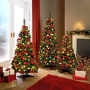 Weihnachtsbäume