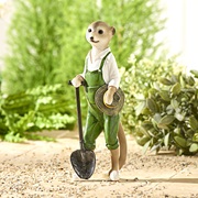 Erdmännchen