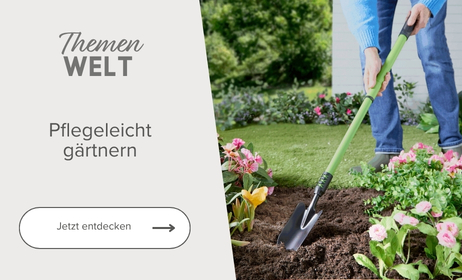 Themenwelt Pflegeleicht gärtnern