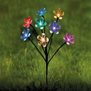 Solar-Blumen