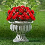 Blumen & Beete